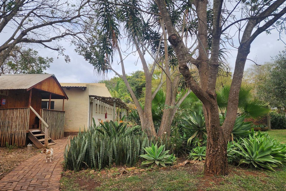 A view of the rear exterior featuring a brick paved pathway leading to a timber cabin and a stucco building surrounded by established garden landscaping.