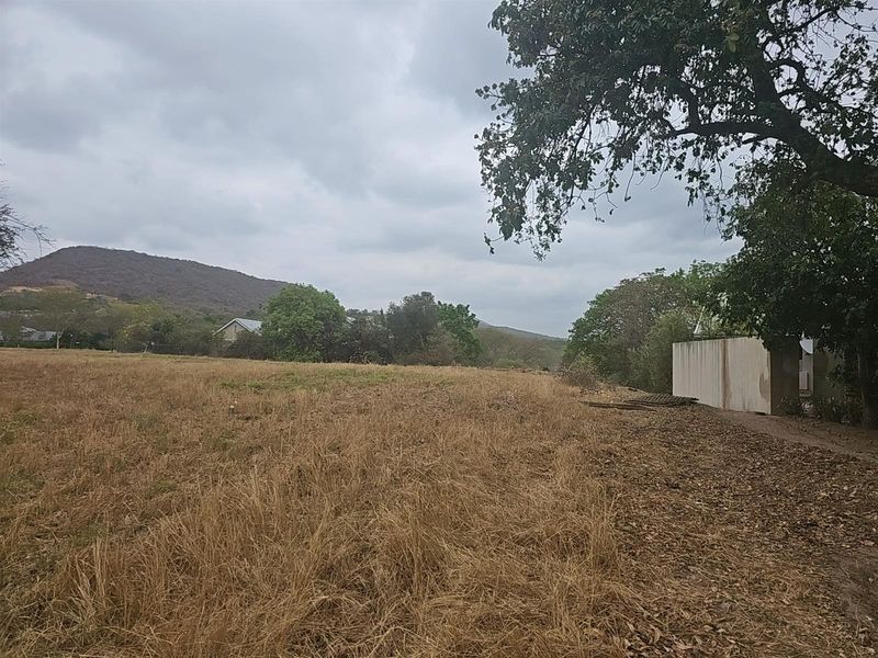 A view of the vacant residential land featuring dry grass, mature trees, and a partial boundary wall against a scenic mountain backdrop.