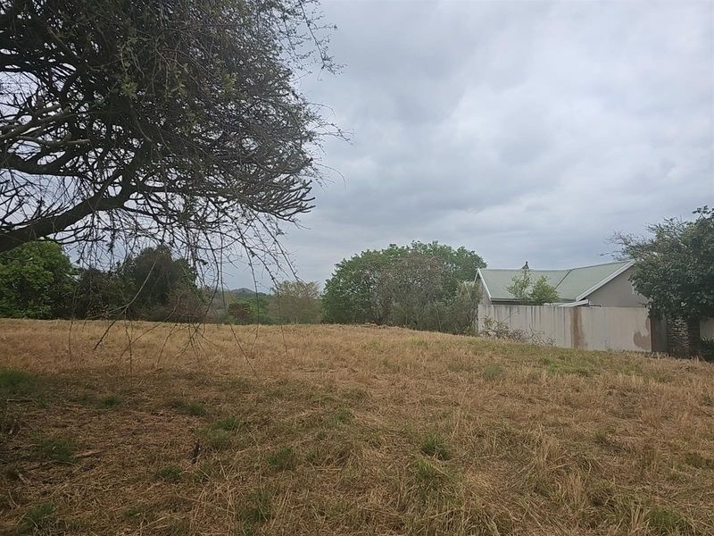 A view of a vacant residential plot featuring natural grass cover, mature trees, and an adjacent boundary wall under an overcast sky.