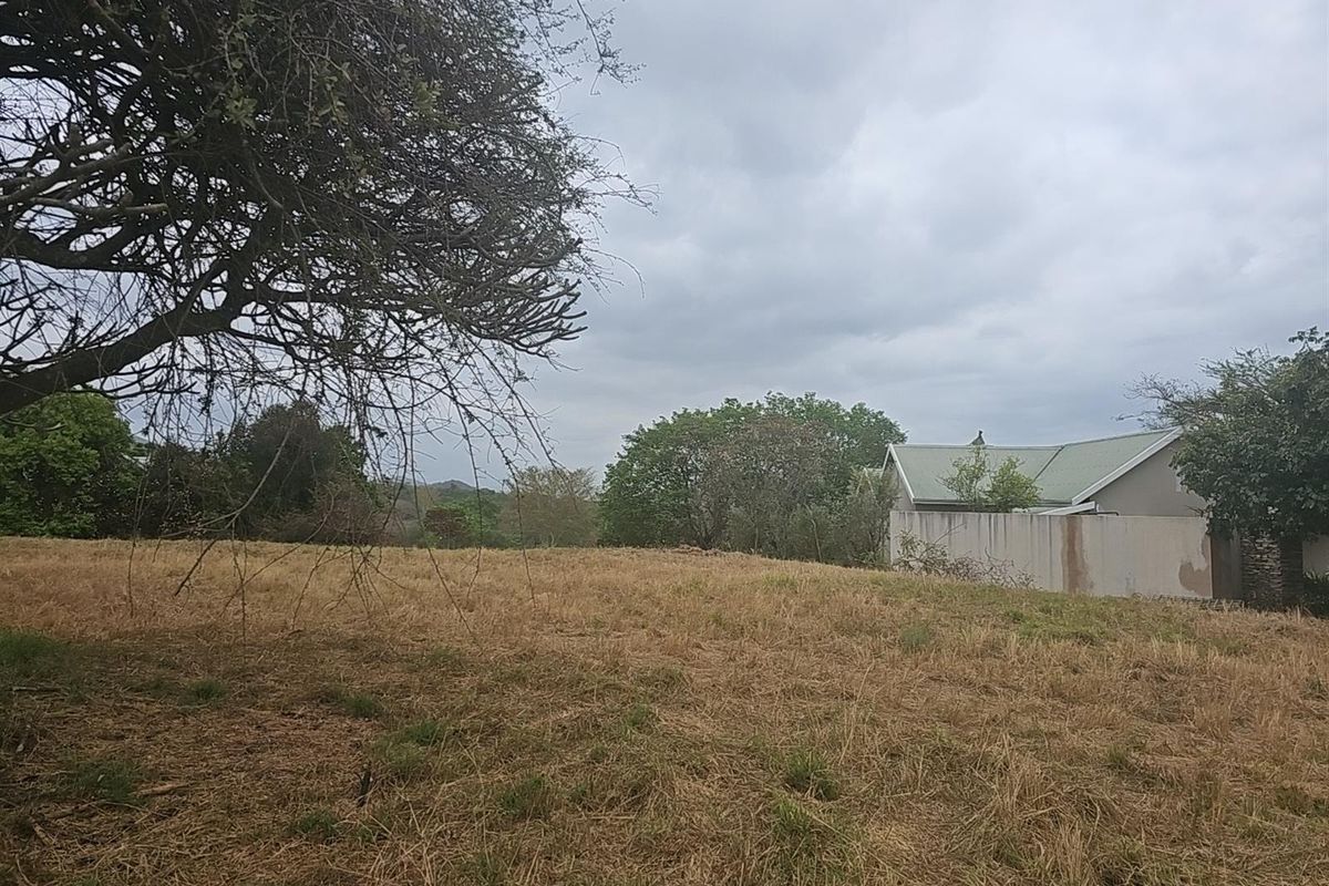 A view of a vacant residential plot featuring natural grass cover, mature trees, and an adjacent boundary wall under an overcast sky.