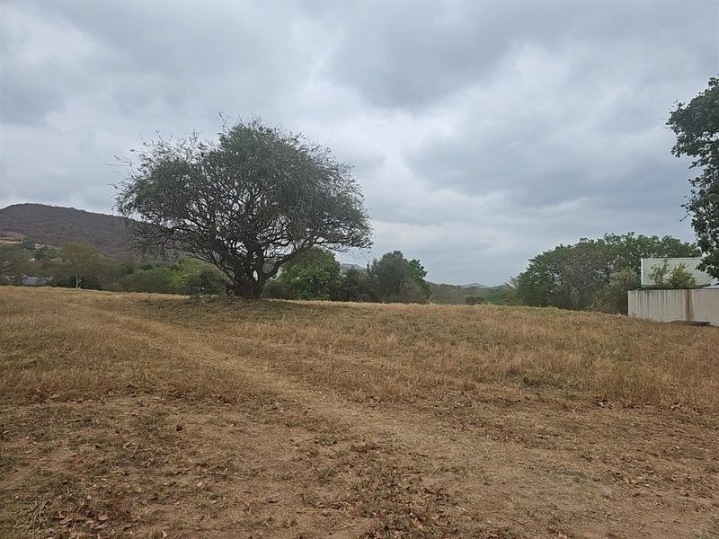A view of a vacant residential plot featuring natural vegetation, mature trees, and surrounding landscape views.