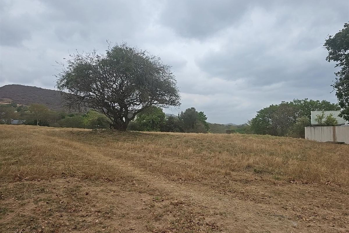 A view of a vacant residential plot featuring natural vegetation, mature trees, and surrounding landscape views.