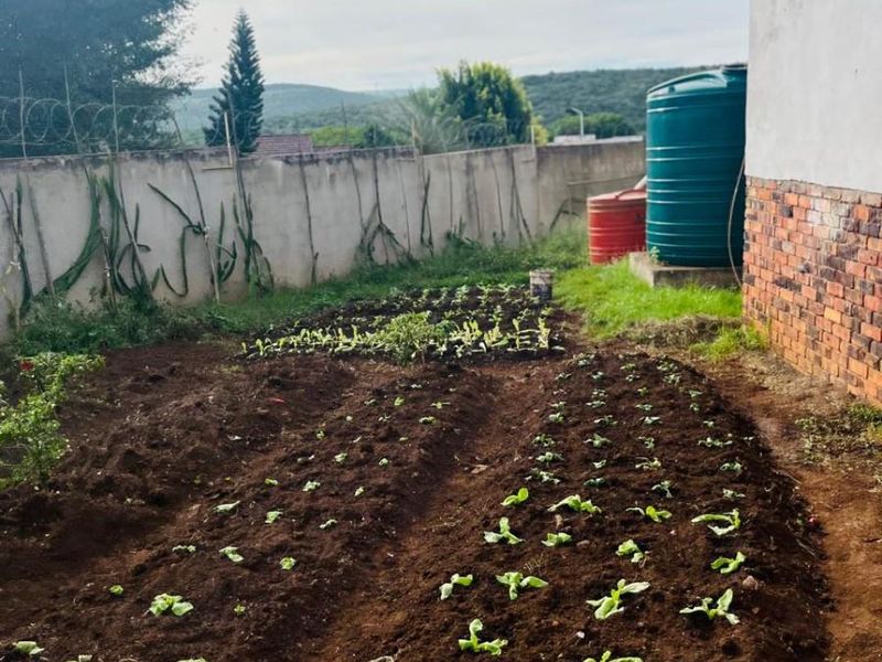 A functional rear garden area featuring a vegetable patch, water storage tanks, and a secure perimeter wall with solar lighting.