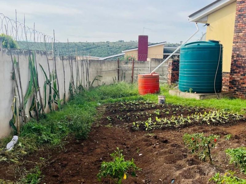 A rear garden area featuring a perimeter wall with security razor wire, a large water storage tank, and cultivated vegetable patches.