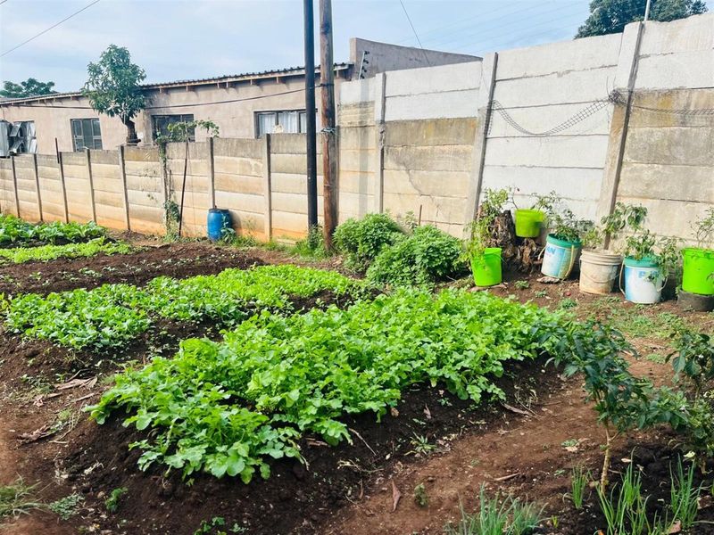 A vegetable garden area enclosed by a precast concrete boundary wall with integrated electric fencing.