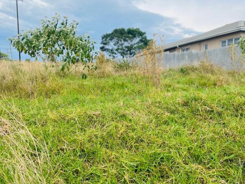 Vacant Land For Sale in Butterworth - Photo 3