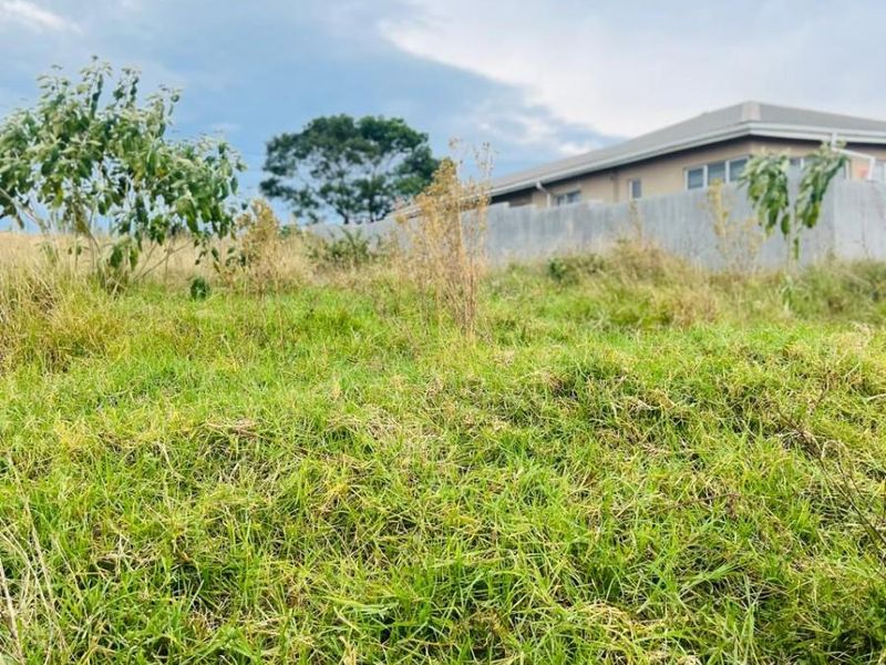 Vacant Land For Sale in Butterworth - Photo 4