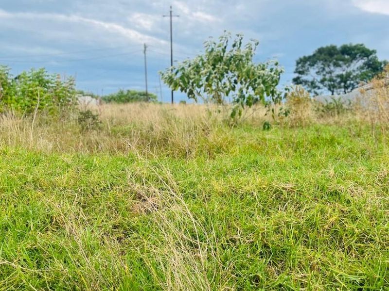 Vacant Land For Sale in Butterworth - Photo 2
