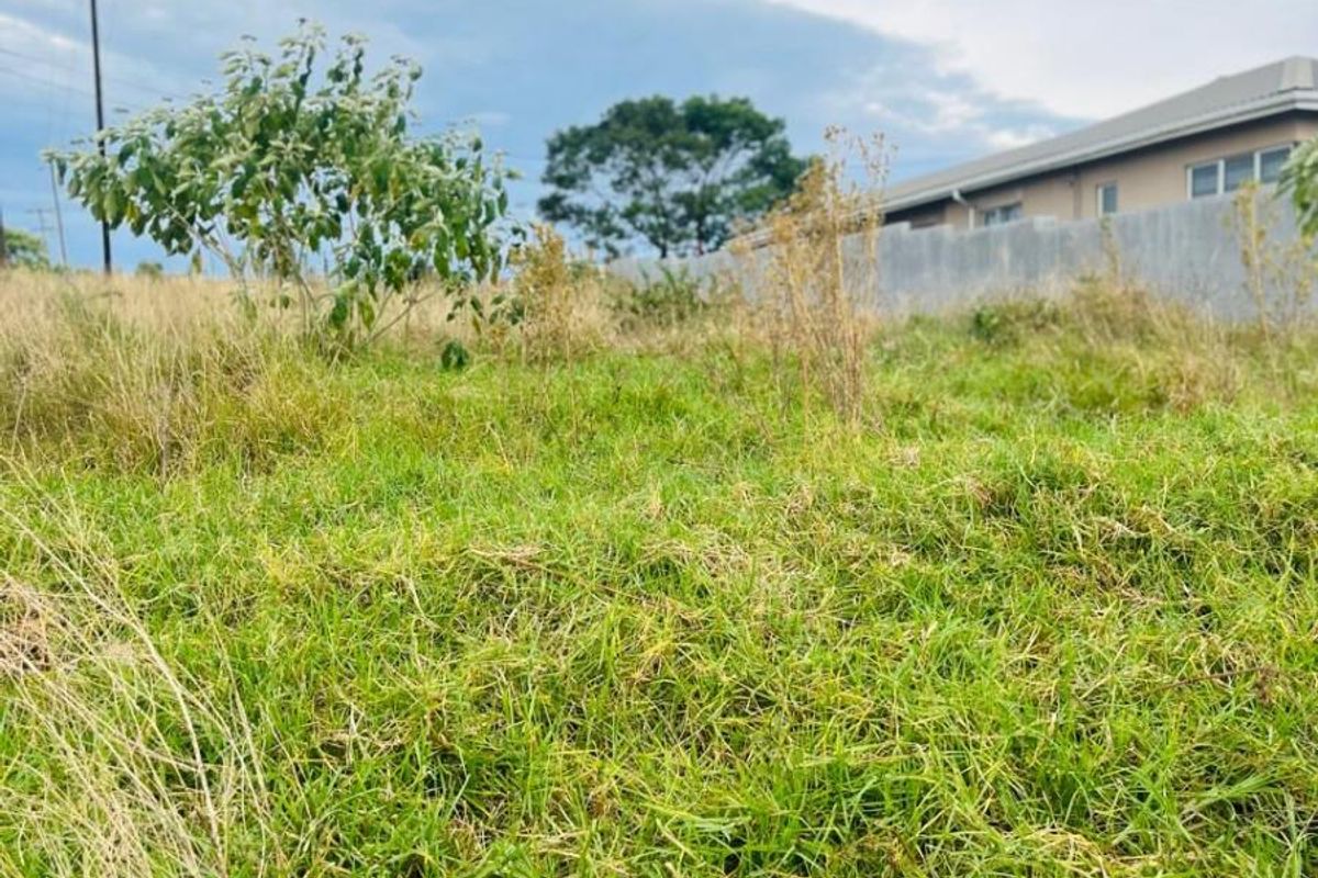 A view of a vacant residential plot featuring natural grass coverage, a boundary wall, and an adjacent utility pole.