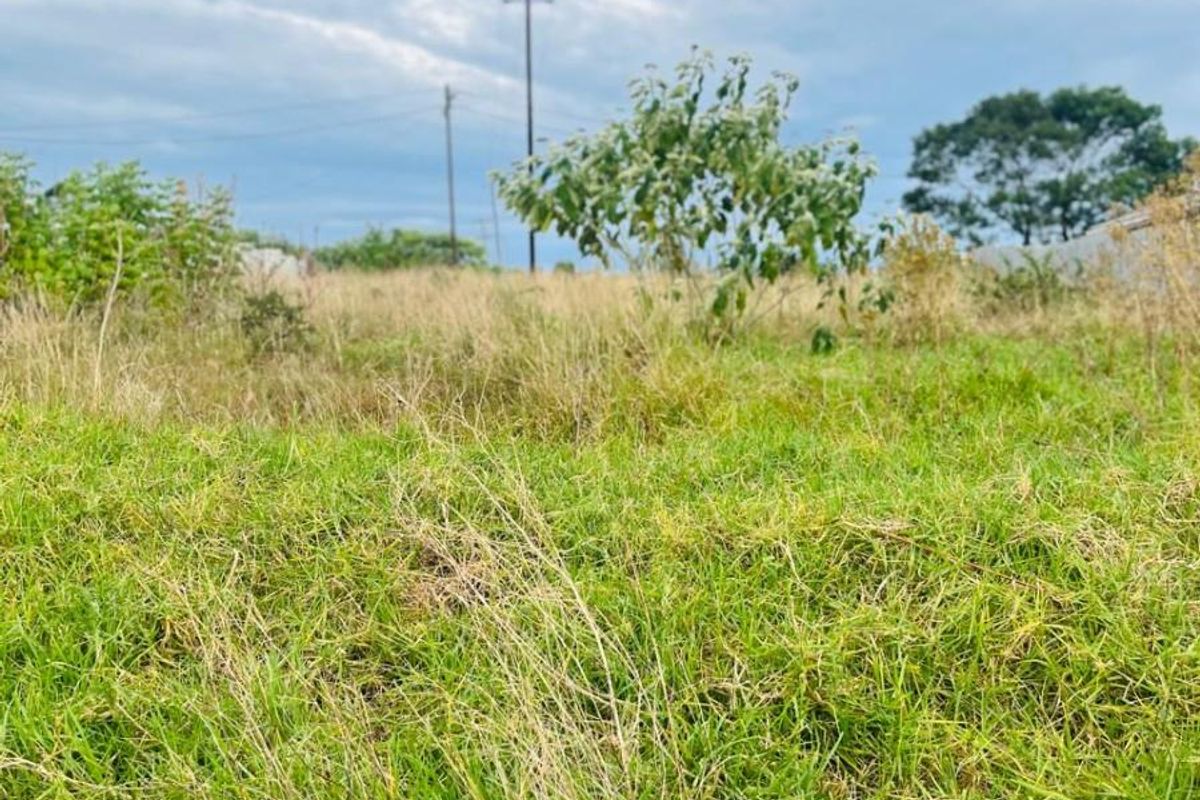 A view of a vacant residential plot featuring natural grass coverage and overhead utility infrastructure.
