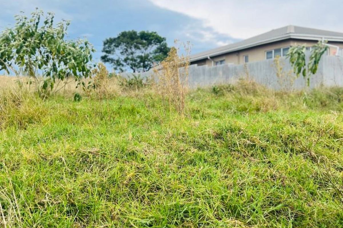 A view of a vacant residential plot featuring natural grass coverage and a perimeter boundary wall.