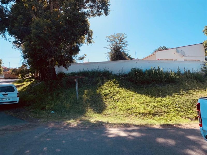 Street view showing the property boundary wall and surrounding mature trees with overgrown vegetation on the embankment.