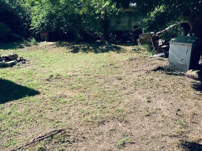 A large, unmaintained backyard area featuring mature trees and a boundary wall, offering significant potential for landscaping and outdoor development.