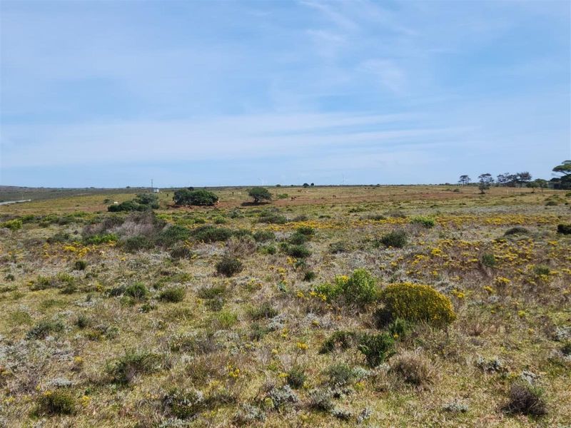 Lifestyle Residential Development Opportunity - Photo 8