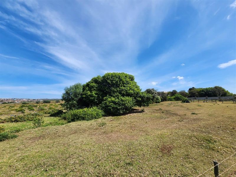 Lifestyle Residential Development Opportunity - Photo 3