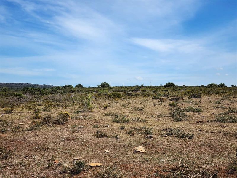 Coastal Land Like This Is Almost Gone - Developers, Act Now! - Photo 9