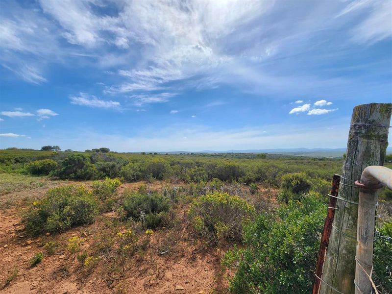 Coastal Land Like This Is Almost Gone - Developers, Act Now! - Photo 5