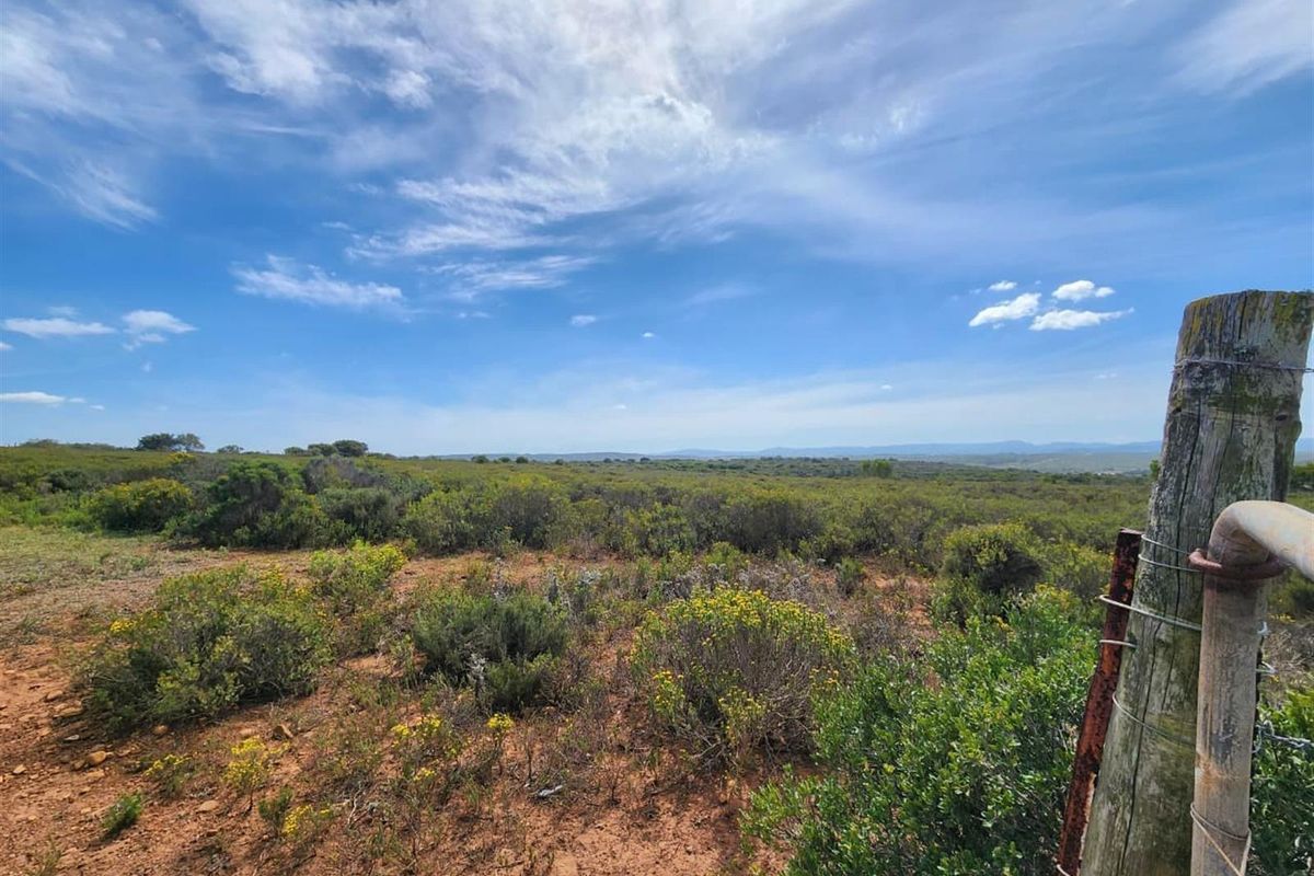 Coastal Land Like This Is Almost Gone - Developers, Act Now! - Photo 5