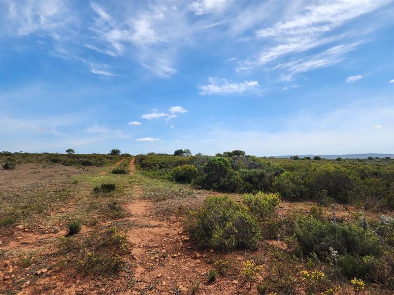 Coastal Land Like This Is Almost Gone - Developers, Act Now! - Photo 8