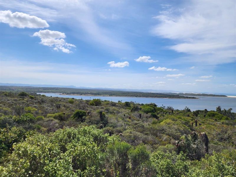 Coastal Land Like This Is Almost Gone - Developers, Act Now! - Photo 3
