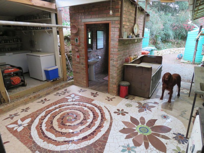 House For Sale in Hogsback, Eastern Cape - Photo 9