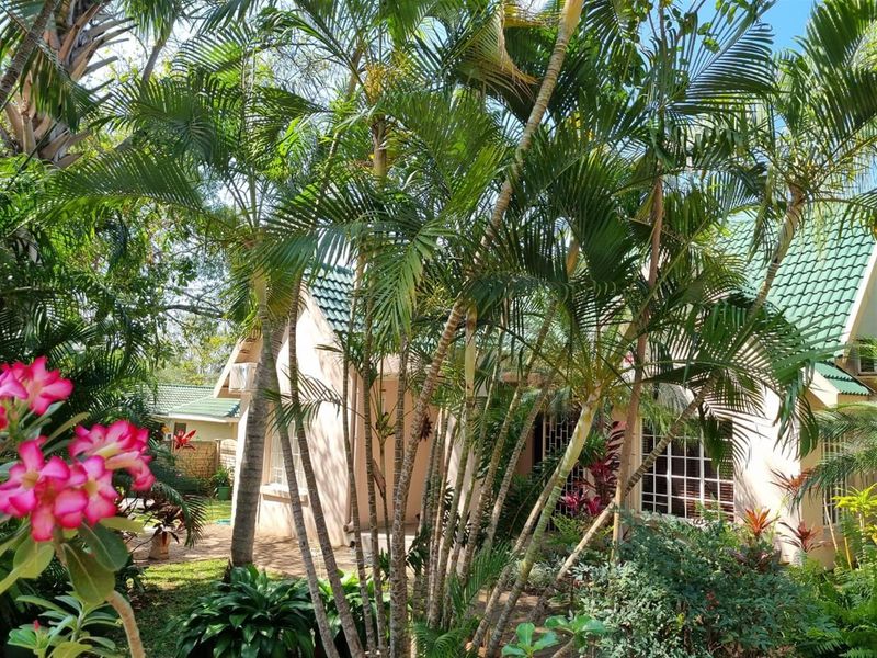 Spacious 6-Bedroom Solar-Powered Oasis with Pool & Expansive Gardens - Photo 2