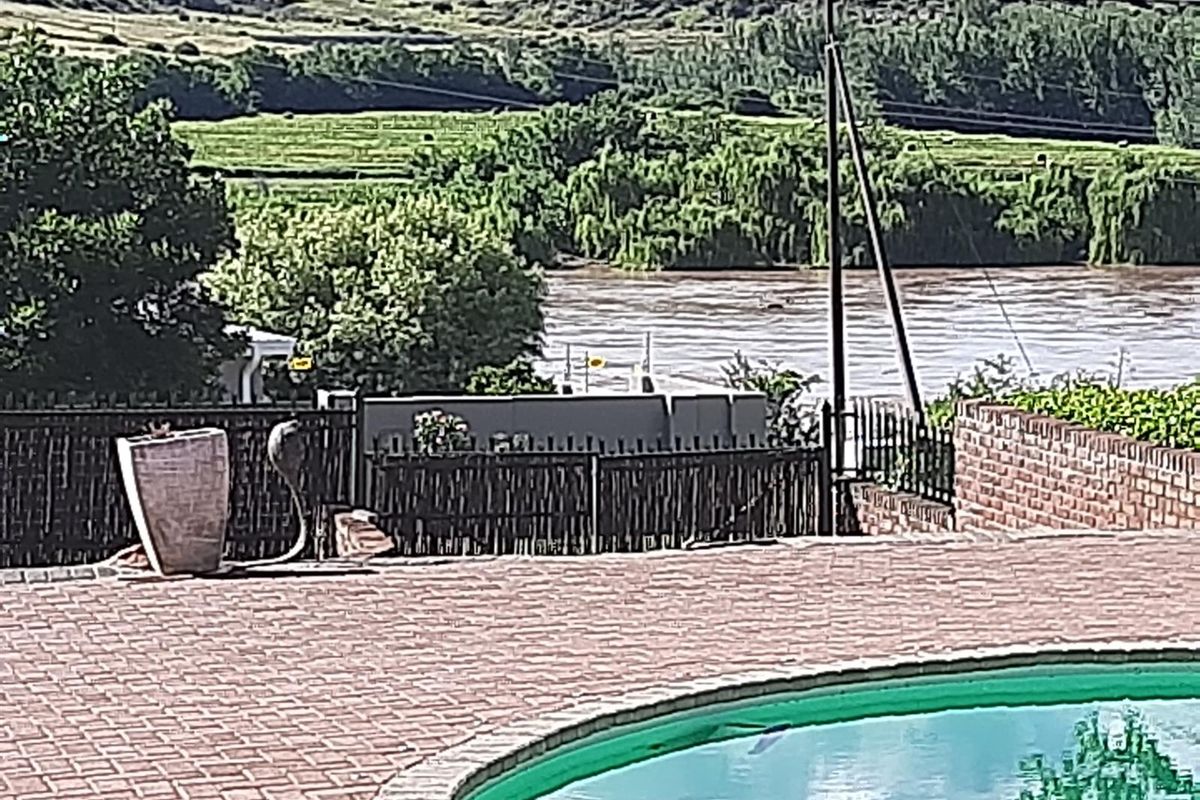 Spacious Family Home with Flatlet in Quiet Part of Aliwal North - Photo 4