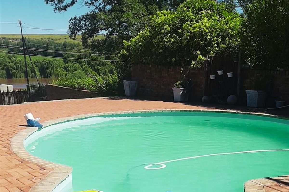 Spacious Family Home with Flatlet in Quiet Part of Aliwal North - Photo 3