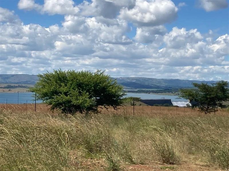 Own your share in a perfect lock-up-and-go opportunity on a Pristine Wildlife Farm - Photo 5