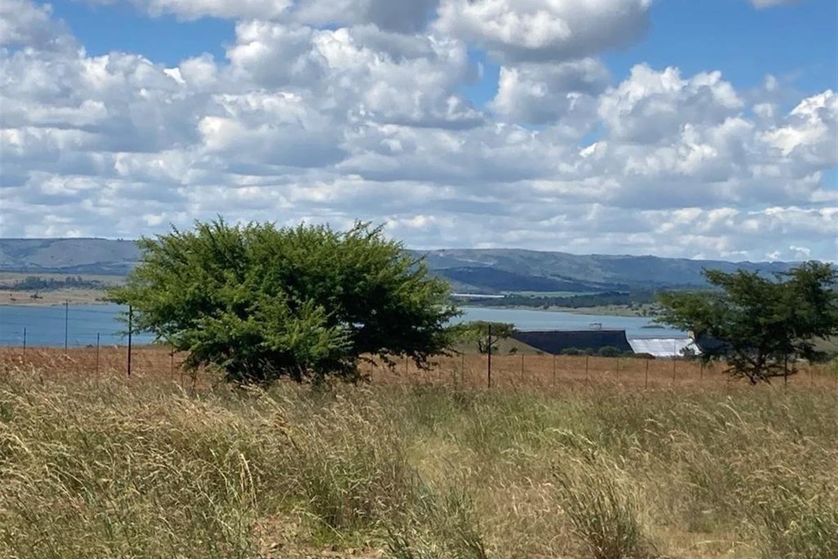 Own your share in a perfect lock-up-and-go opportunity on a Pristine Wildlife Farm - Photo 5