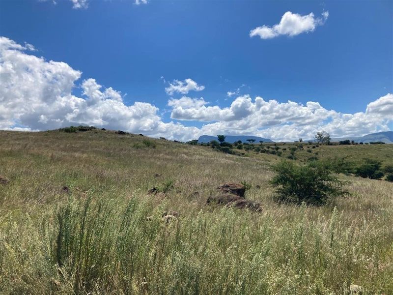 Own your share in a perfect lock-up-and-go opportunity on a Pristine Wildlife Farm - Photo 4