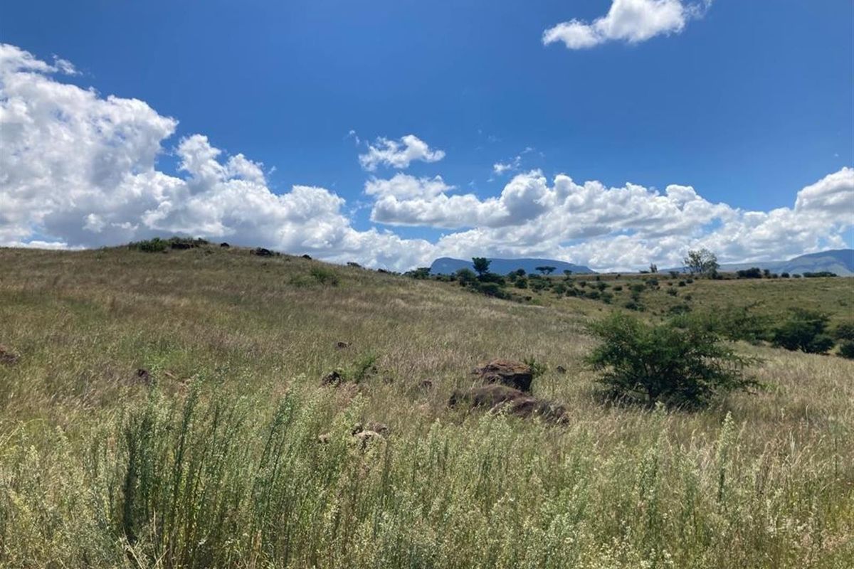 Own your share in a perfect lock-up-and-go opportunity on a Pristine Wildlife Farm - Photo 4