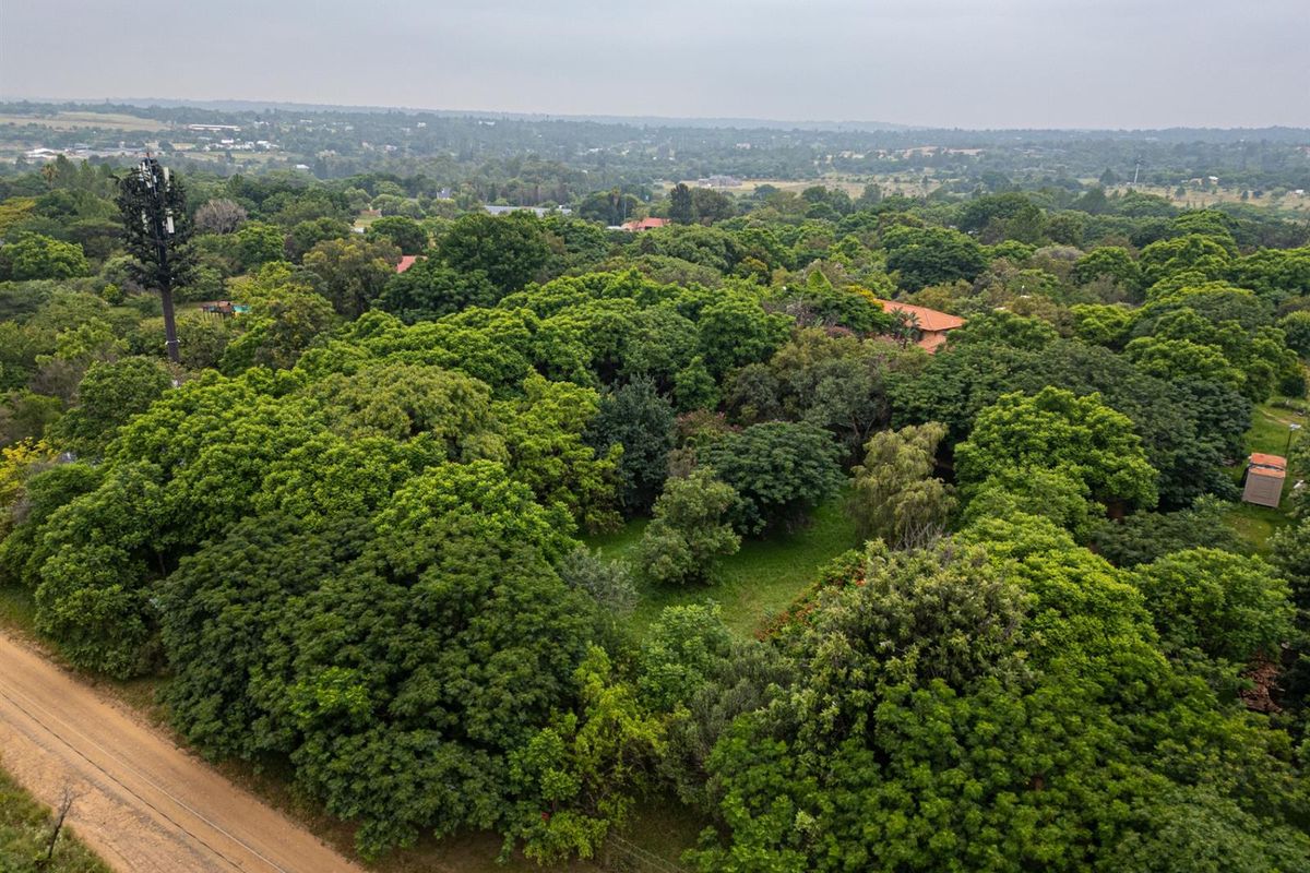 An aerial view of the property grounds, showcasing extensive mature trees, lush greenery, and surrounding landscape.