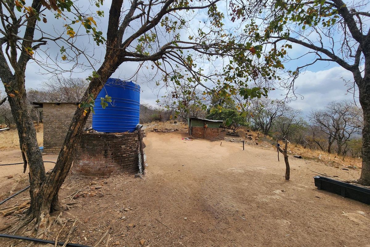 Outdoor farm area featuring a blue plastic water storage tank on a brick base and small auxiliary brick structures.