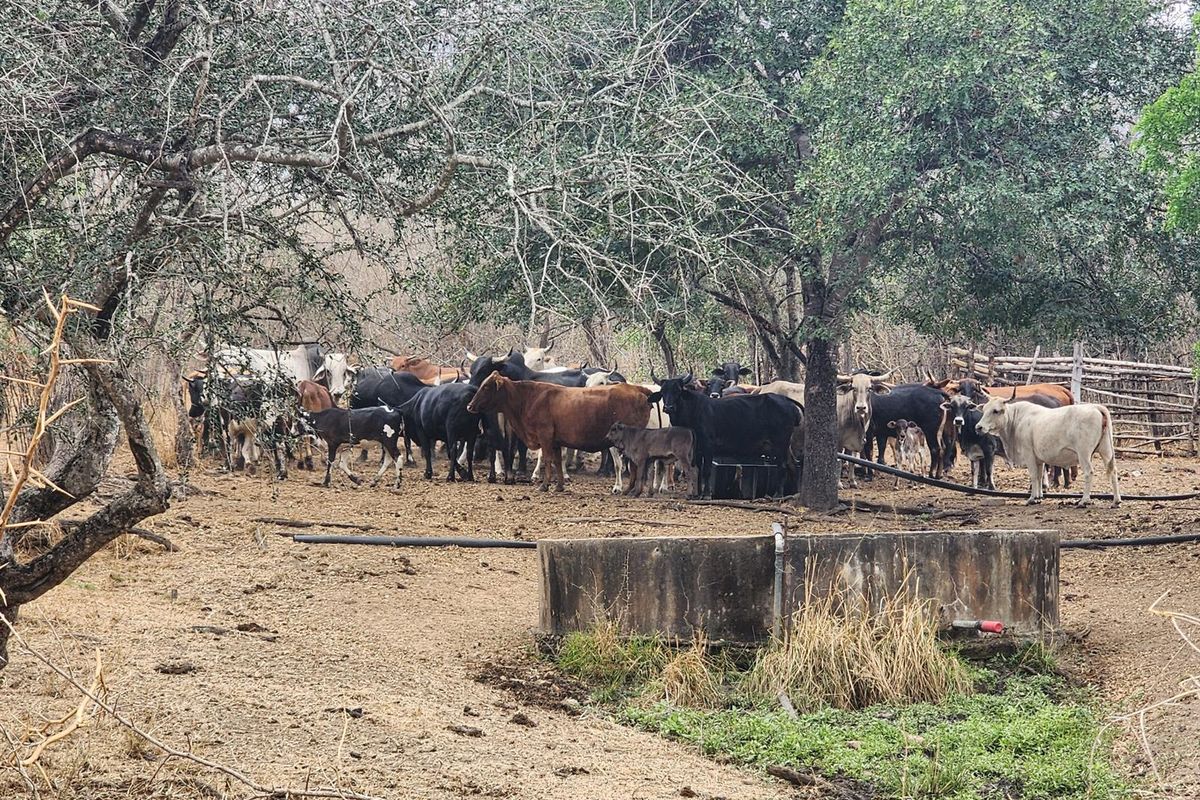 Farm For Sale in Mooketsi, Duiwelskloof - Photo 3