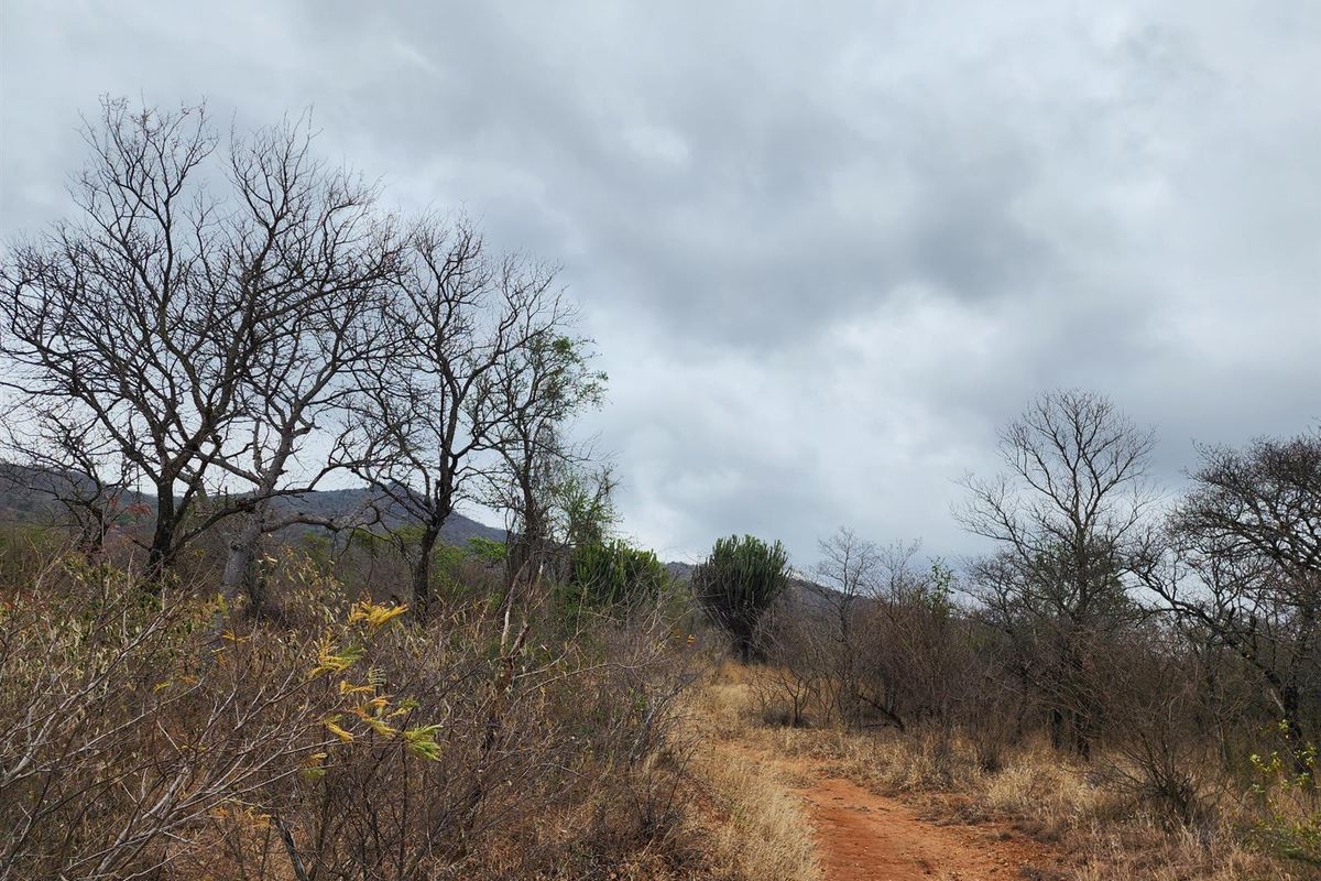 Farm For Sale in Mooketsi, Duiwelskloof - Photo 5