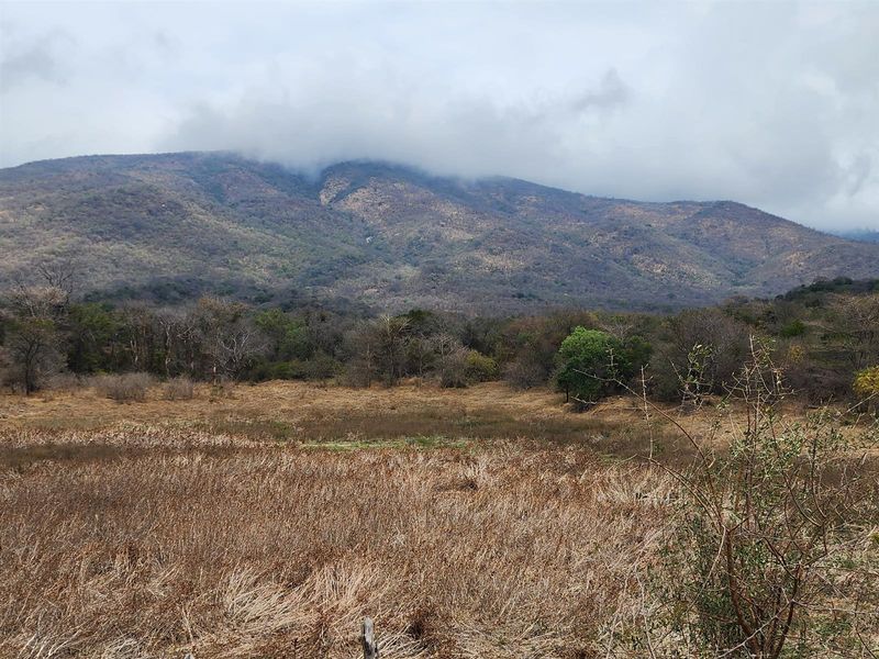 A scenic view of the expansive farm landscape featuring natural vegetation and a prominent mountain backdrop under a cloudy sky.