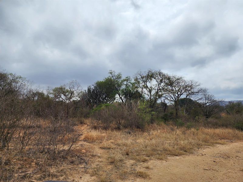 A view of the natural landscape on the farm property, featuring indigenous trees, shrubs, and dry grassland under a cloudy sky.