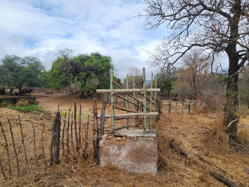 Outdoor farm infrastructure featuring a rustic timber cattle handling facility and perimeter fencing set within a rural landscape.