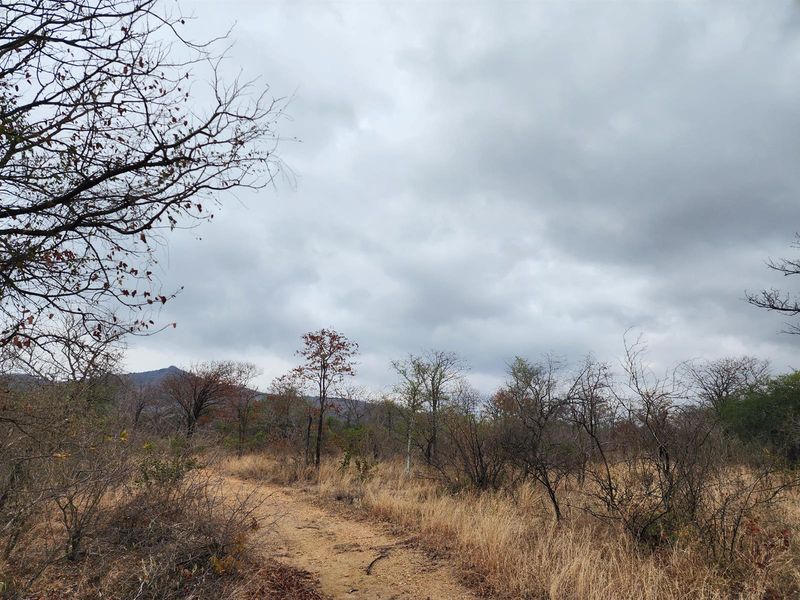 A scenic view of the natural farm landscape featuring a dirt track winding through dry bushveld vegetation under a cloudy sky.