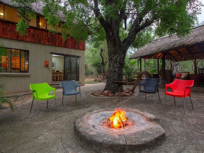 Peaceful Haven that combines modern living with the natural wonders of the bushveld in Marloth Park - Photo 5