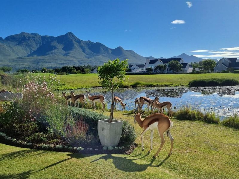 Scenic view of a landscaped garden overlooking a tranquil pond with mountain vistas in the background.