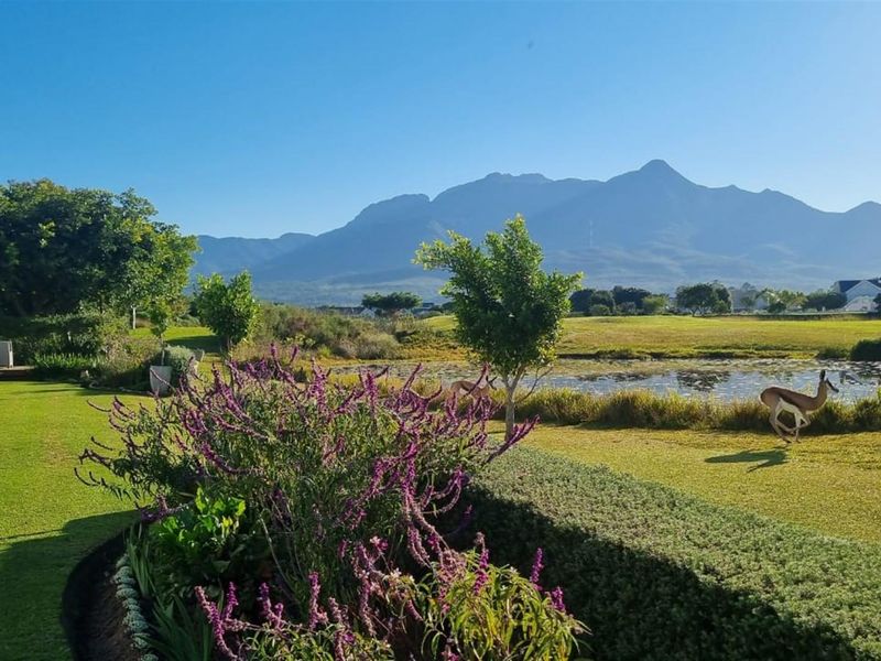 A scenic view of a landscaped garden featuring a pond, lush greenery, and mountain vistas in the background.
