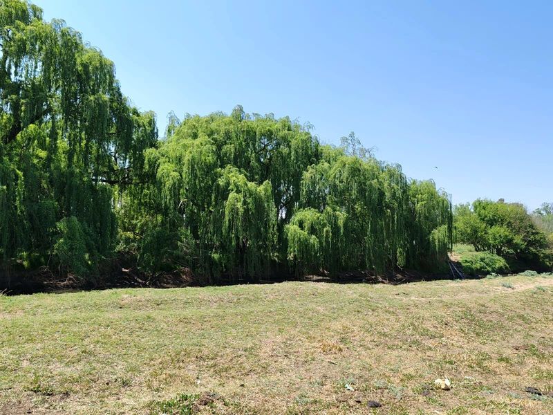 Farm For Sale in Witkop, Meyerton, R13 000 000.00 - Photo 8