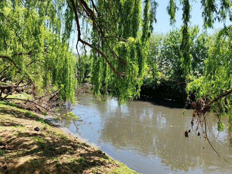 Farm For Sale in Witkop, Meyerton, R13 000 000.00 - Photo 3