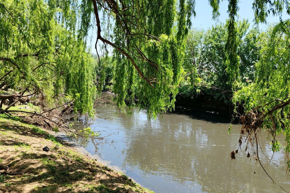 Farm For Sale in Witkop, Meyerton, R13 000 000.00 - Photo 3