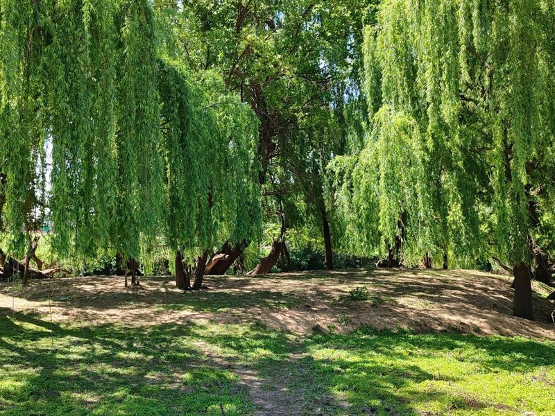 Farm For Sale in Witkop, Meyerton, R13 000 000.00 - Photo 2