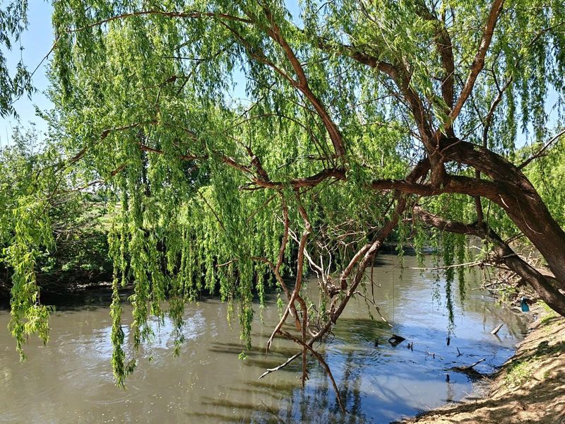 Farm For Sale in Witkop, Meyerton, R13 000 000.00 - Photo 4