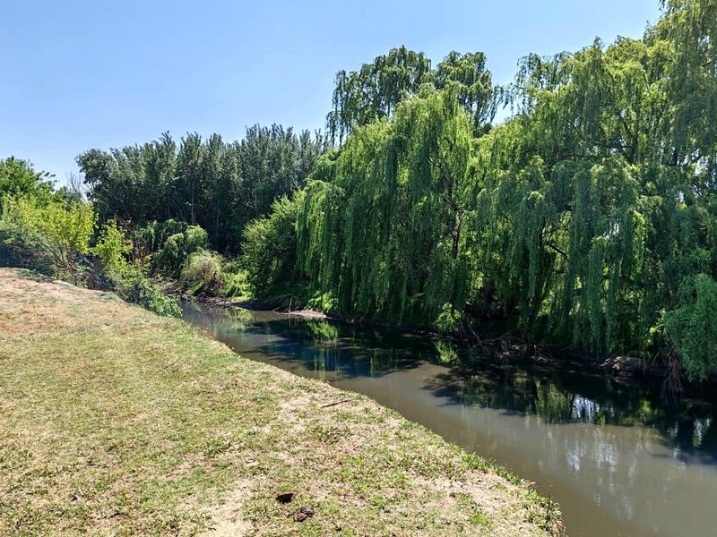 Farm For Sale in Witkop, Meyerton, R13 000 000.00 - Photo 5