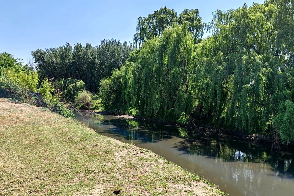 Farm For Sale in Witkop, Meyerton, R13 000 000.00 - Photo 5